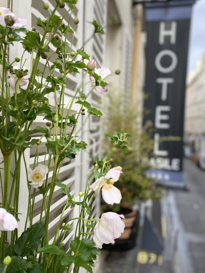 Hotel Basile - Hotel