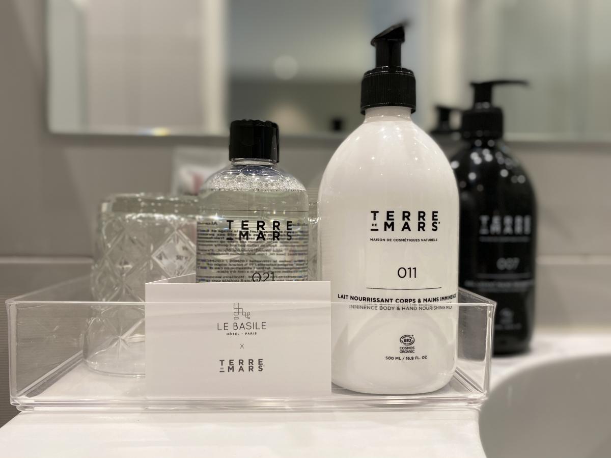 Hôtel Le Basile - Habitación PMR